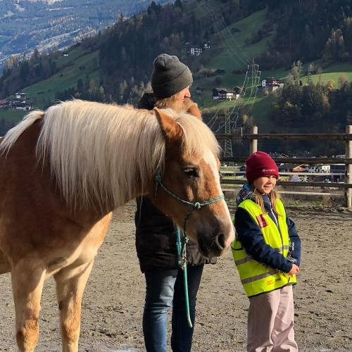 Pony ABC
