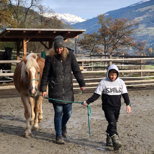 Pony ABC