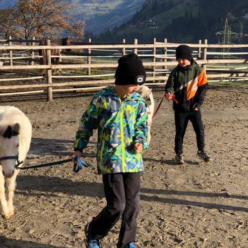 Pony ABC