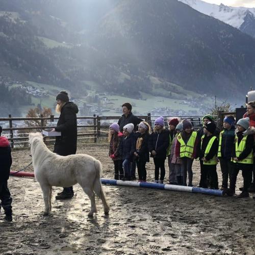 Pony ABC
