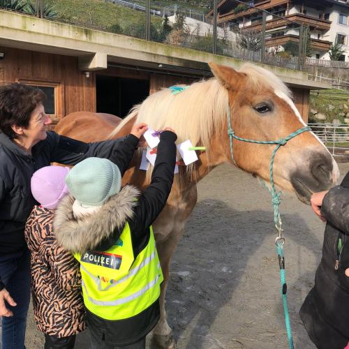 Pony ABC