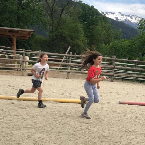 Pony ABC 2024