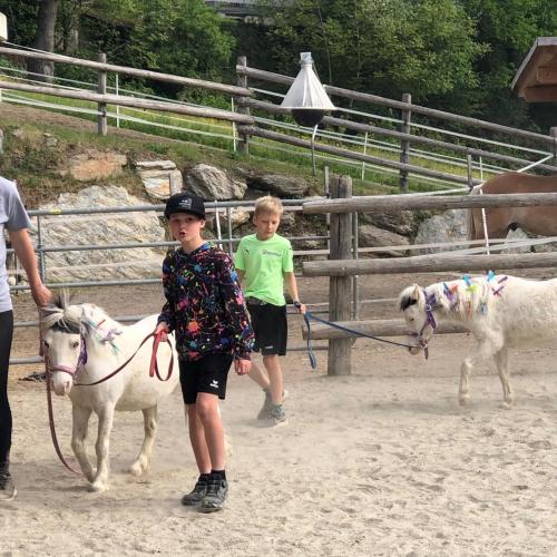 Pony ABC 2024