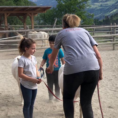Pony ABC 2024