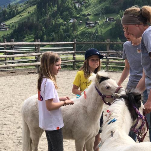 Pony ABC 2024