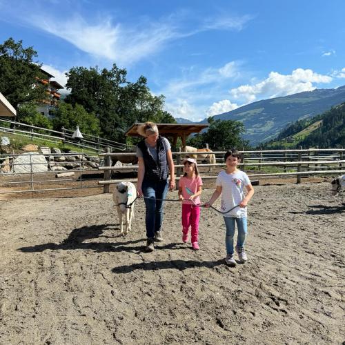 Pony ABC 2024