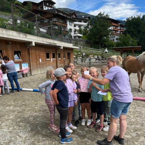 Pony ABC 2024
