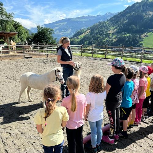 Pony ABC 2024