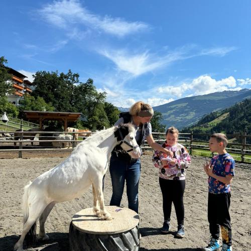 Pony ABC 2024