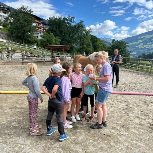 Pony ABC 2024