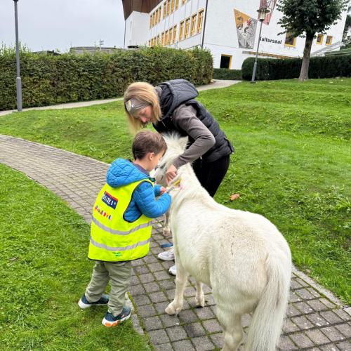 Pony ABC 2b