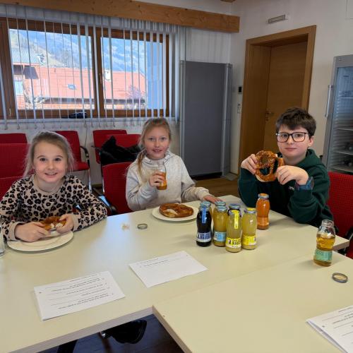 Gemeindebesuch 3a, 3b