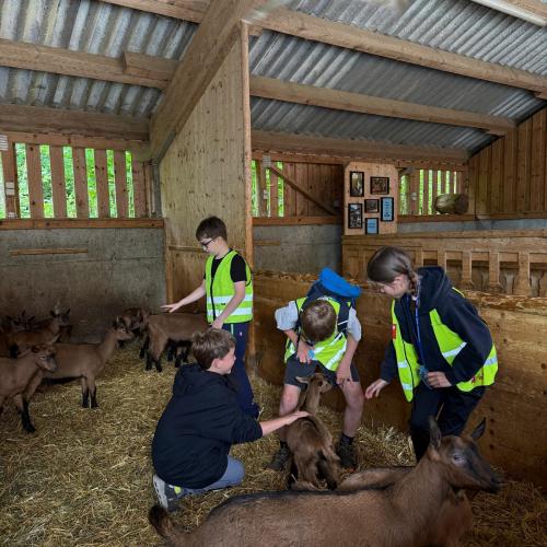 3a in der Erlebnissennerei Zillertal 2025