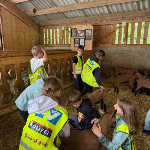 3a in der Erlebnissennerei Zillertal 2025