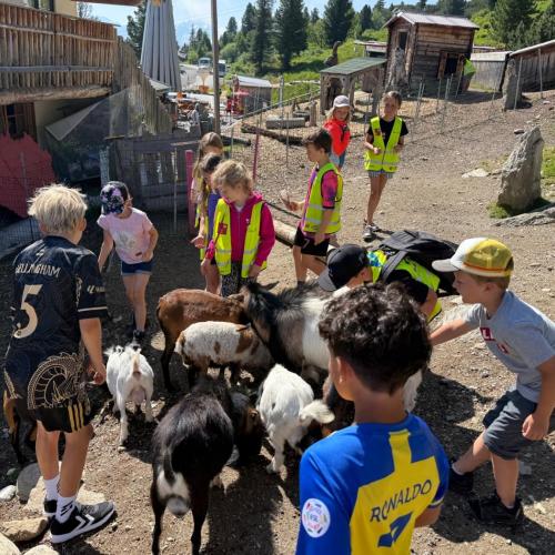 Ausflug ins Murmeltierland 2a und 3b