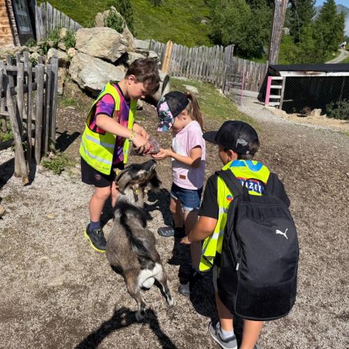 Ausflug ins Murmeltierland 2a und 3b