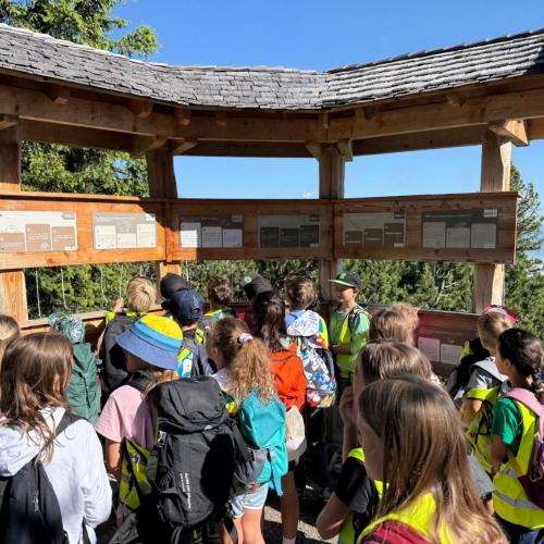 Ausflug ins Murmeltierland 2a und 3b