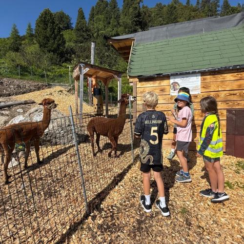 Ausflug ins Murmeltierland 2a und 3b