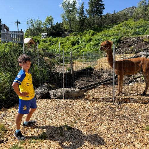 Ausflug ins Murmeltierland 2a und 3b