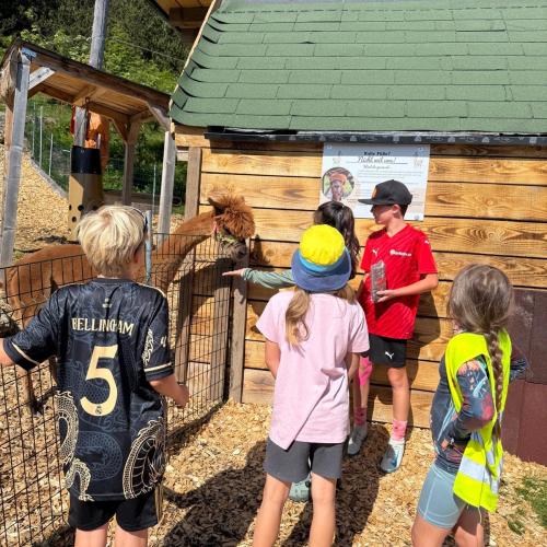 Ausflug ins Murmeltierland 2a und 3b