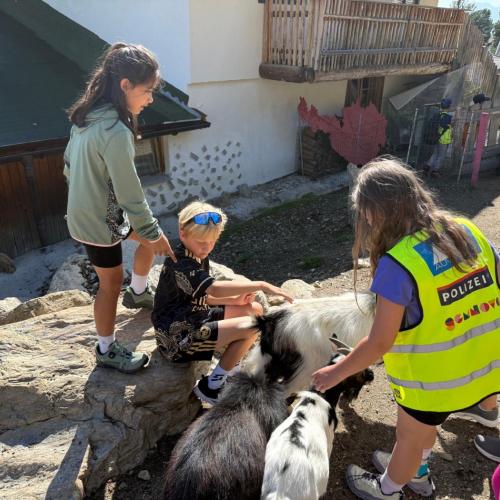 Ausflug ins Murmeltierland 2a und 3b