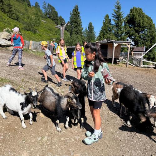 Ausflug ins Murmeltierland 2a und 3b