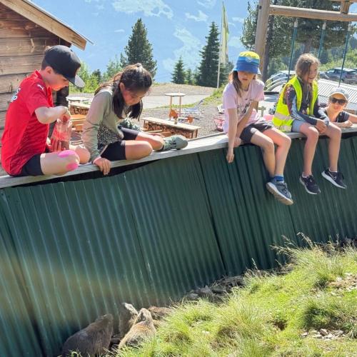 Ausflug ins Murmeltierland 2a und 3b