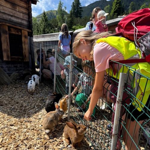 Ausflug ins Murmeltierland 2a und 3b