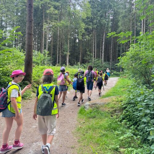 Ausflug Scheulingwald 2b 2025