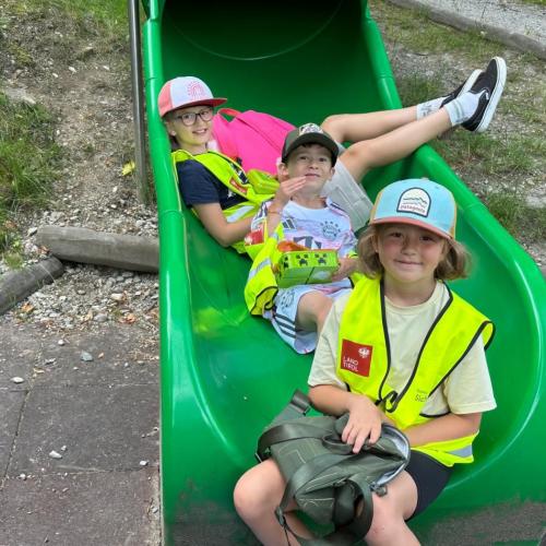 Ausflug Scheulingwald 2b 2025