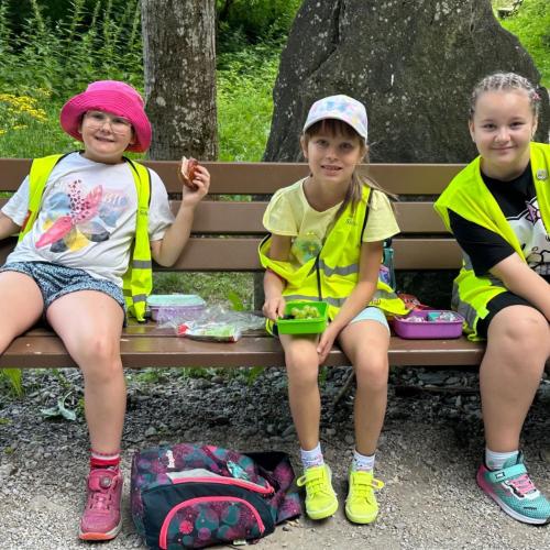 Ausflug Scheulingwald 2b 2025