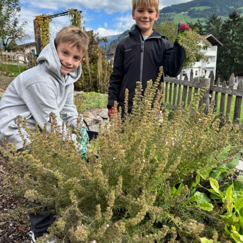 Kräutergarten 3b 2025