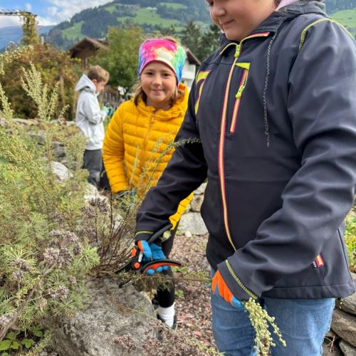 Kräutergarten 3b 2025