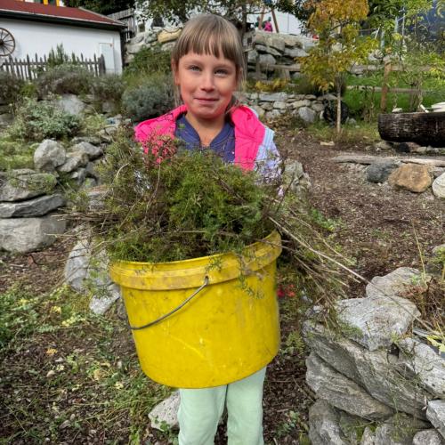 Kräutergarten 3b 2025