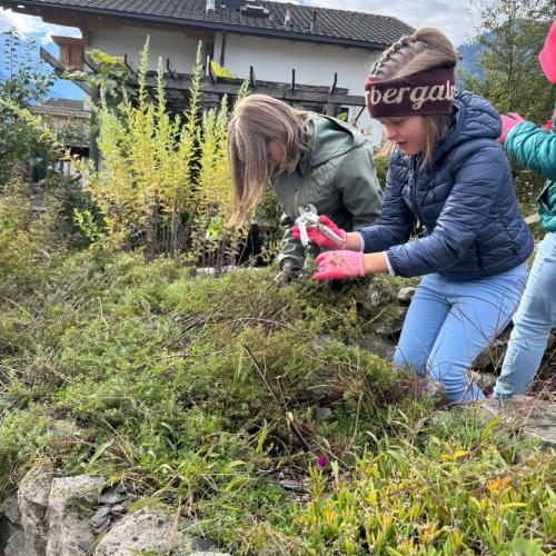 Kräutergarten 3b 2025