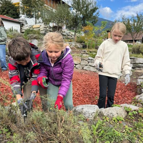 Kräutergarten 3b 2025