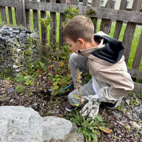 Kräutergarten 3b 2025