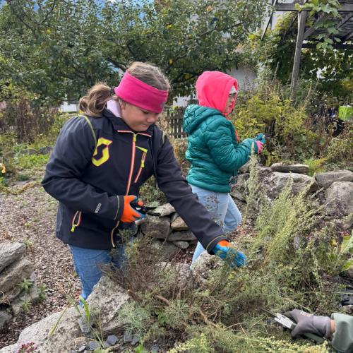 Kräutergarten 3b 2025