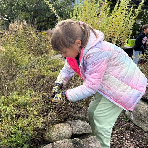 Kräutergarten 3b 2025