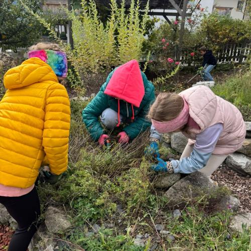 Kräutergarten 3b 2025