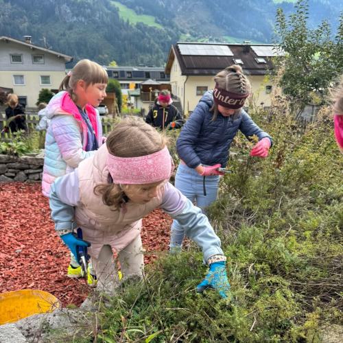 Kräutergarten 3b 2025