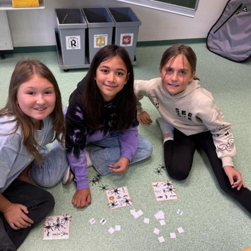 Halloween Stationsbetrieb 4b 2025