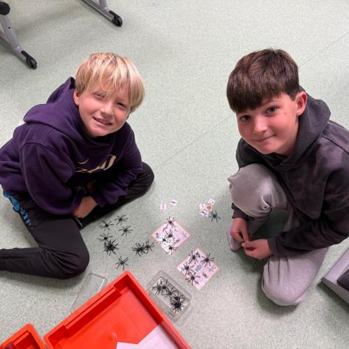 Halloween Stationsbetrieb 4b 2025