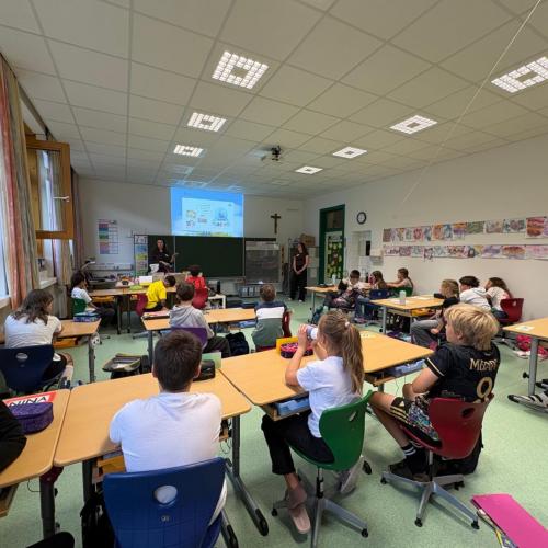 Workshop: Online mit Köpfchen 4b 2026