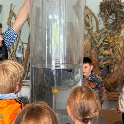 Abschlusstage im Hexenwasser 4b