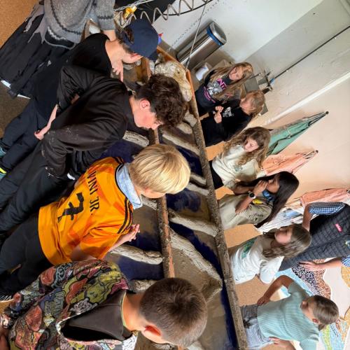 Abschlusstage im Hexenwasser 4b