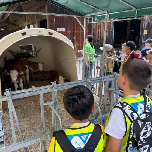 Besuch in der LLA Rotholz 4a 4b 2026
