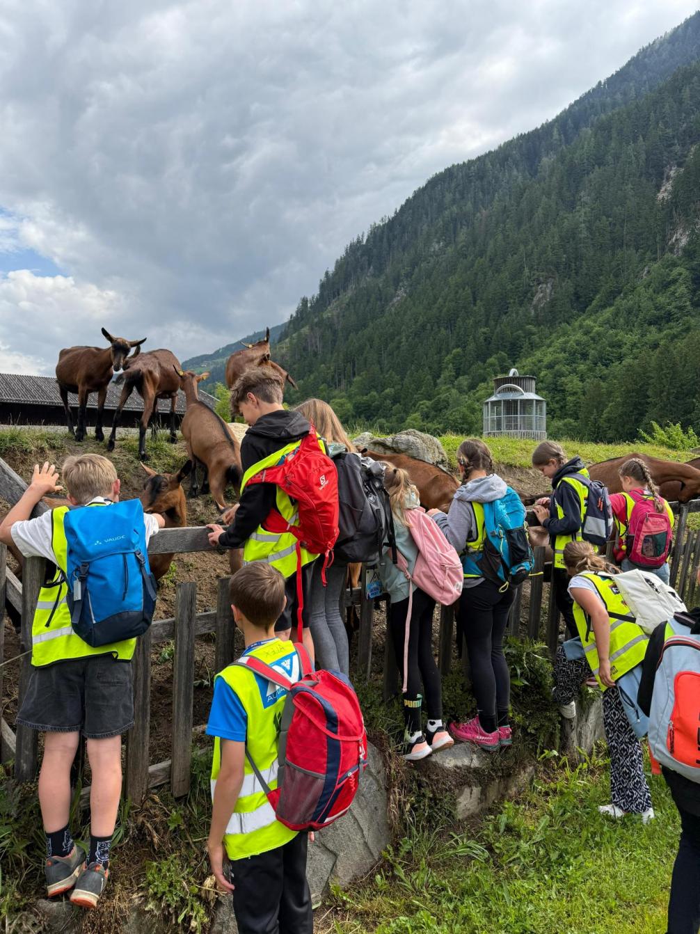 3a in der Erlebnissennerei Zillertal 2025